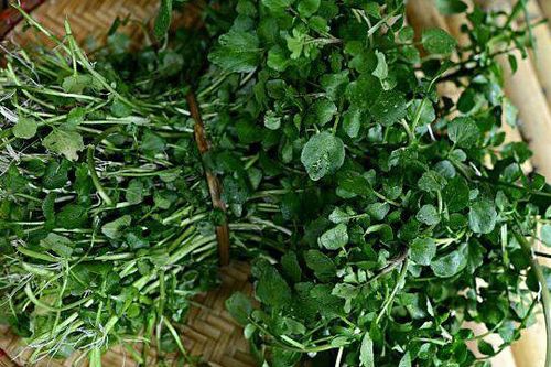 Cải xoong: Điểm danh những tác dụng của cải xoong đối với sức khỏe