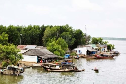 Cần Giờ và những giá trị không thể đánh mất