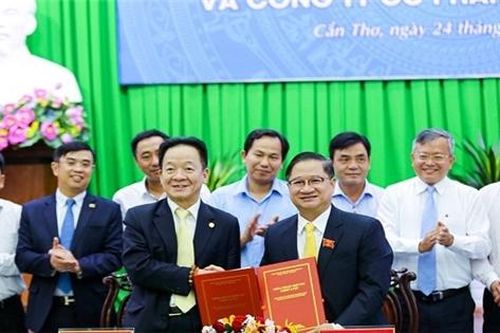 T&T Group hợp tác chiến lược với TP. Cần Thơ, đề xuất đầu tư nhiều dự án lớn