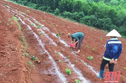 Đảng bộ xã Quang Trung phát huy vai trò lãnh đạo trong xây dựng nông thôn mới