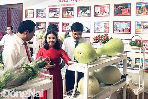 Tiếp tục nhân rộng những cách làm hay trong xây dựng nông thôn mới kiểu mẫu