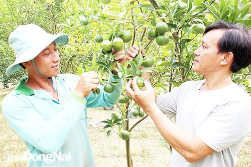 Cần sớm điều chỉnh bất cập trong Luật Đất đai