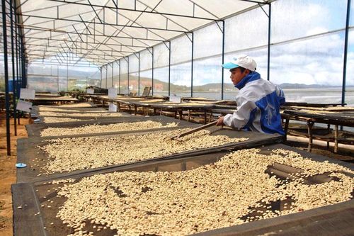 Lạc Dương - điểm đến của tương lai (bài 2)