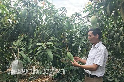 Nông dân Mai Sơn thi đua SXKD giỏi