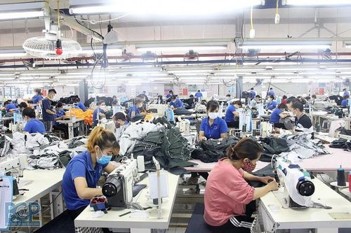 Cục Thuế Bình Định: Thu ngân sách 3 tháng tăng hơn 20% so cùng kỳ