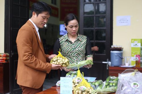 Nông sản Ứng Hòa: Chất lượng tốt nhưng nhãn mác chưa hấp dẫn