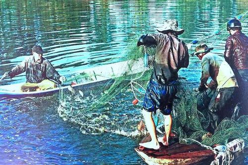 Cà Mau giảm quy mô lễ hội 'Hương rừng U Minh'