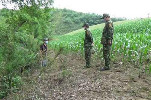 Kịp thời bắt giữ 2 đối tượng nhập cảnh trái phép