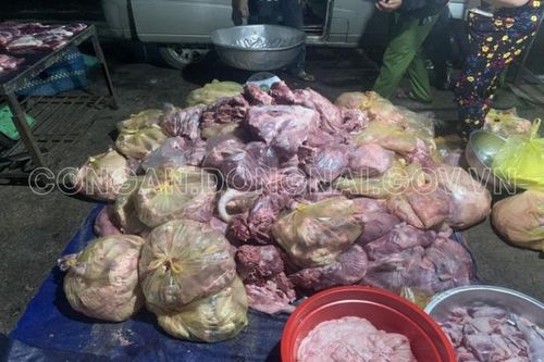 Đồng Nai: Phát hiện xe tải vận chuyển 750kg thịt heo thối