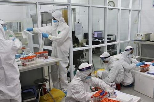 Gấp rút giải mã trình tự gene 4 chuyên gia Ấn Độ mắc COVID-19 vừa phát hiện tại Việt Nam