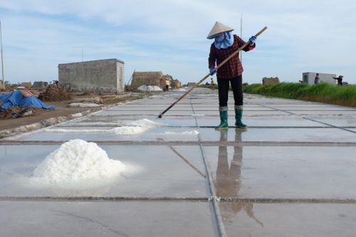 Diêm dân Bạch Long chật vật bám nghề muối của quê hương