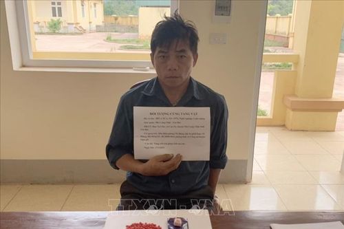 Bắt giữ đối tượng tàng trữ trái phép chất ma túy