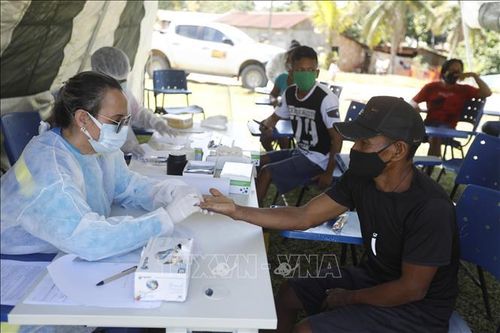 Thượng viện Brazil điều tra về cách ứng phó đại dịch của chính phủ