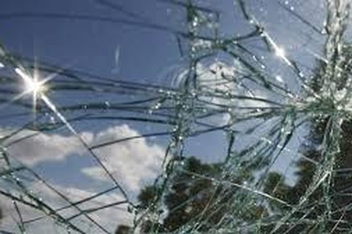 Người phụ nữ phải nhập viện vì bị sinh vật khó ngờ đâm vỡ kính ô tô