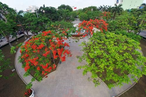 Những loài hoa biểu tượng ở các địa phương
