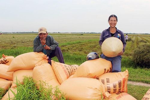 Bài 3: Chuyện 'hai nhà' làm nông nghiệp hữu cơ nơi Vĩ tuyến 17 ngày và đêm
