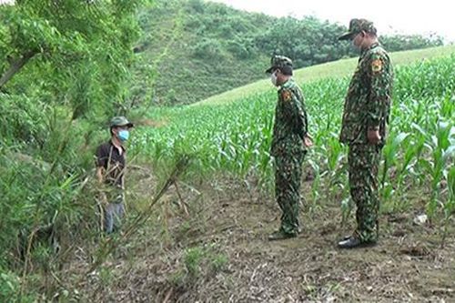 Phát hiện nhiều người nhập cảnh trái phép qua biên giới