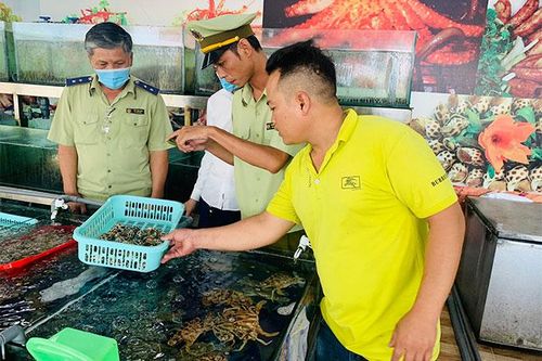 Xử phạt chủ nhà hàng Hải Sản Tháp Bà 86 hơn 13 triệu đồng