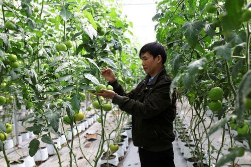 Lạc Dương - điểm đến của tương lai (Bài cuối)