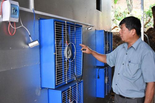 Chuối Laba sấy gió