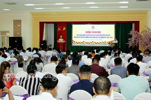 Hội Nông dân tỉnh triển khai công tác bầu cử đại biểu Quốc hội khóa XV và HĐND các cấp