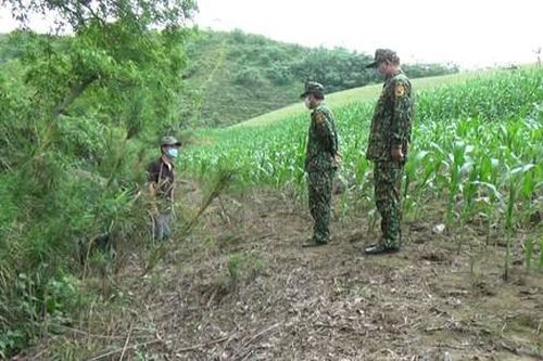 Kịp thời bắt giữ 2 đối tượng nhập cảnh trái phép