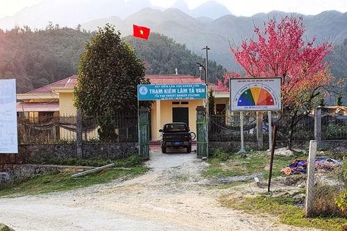 Tạm đình chỉ hai kiểm lâm Trạm kiểm lâm Tả Van
