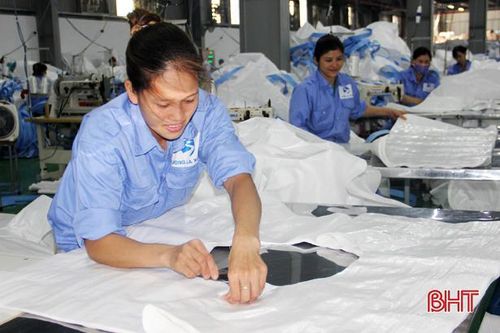 Vực dậy sau khó khăn, doanh nghiệp Hà Tĩnh hái 'quả ngọt'