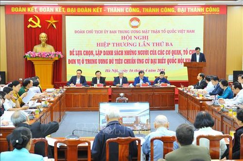 Việc thành lập các tổ bầu cử ở 3 thành phố lớn được thực hiện thế nào?