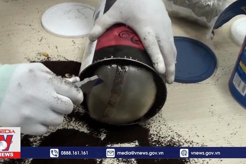 Thu giữ 36 kg ma túy giấu trong quà biếu