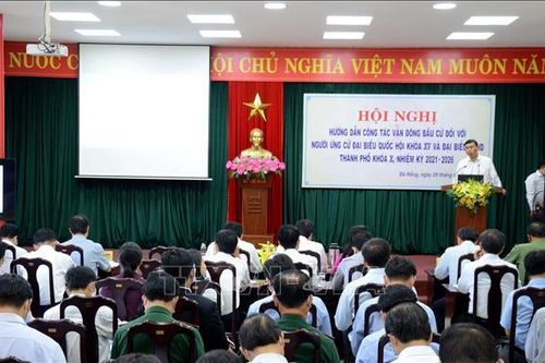 Cung cấp thông tin, kỹ năng vận động bầu cử cho các ứng cử viên