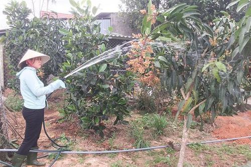 Nỗ lực hồi sinh cho đất