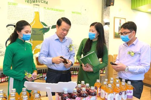 Thái Nguyên ra mắt sản phẩm trà lên men VKombucha