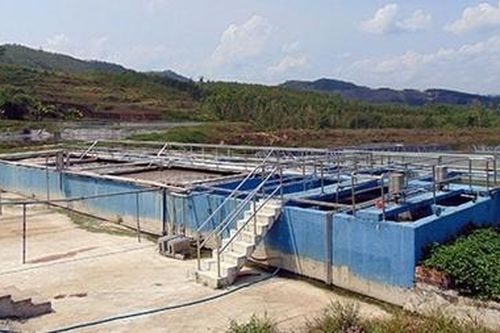 Xử lý dứt điểm ô nhiễm môi trường do trang trại heo