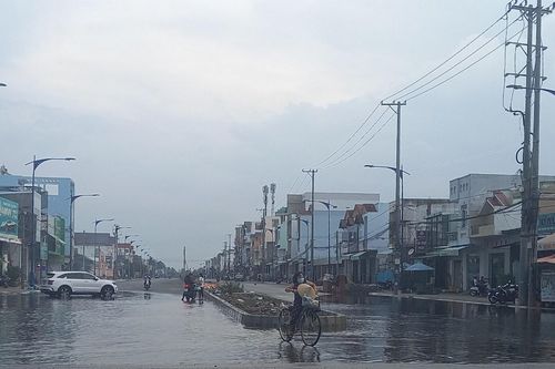 Kiểm tra gói thầu làm đường trăm tỷ ở Cần Thơ: Có hay không báo cáo 'mật'?