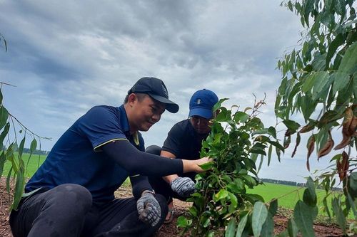 3M cùng WWF-Việt Nam trồng 8.000 cây xanh, cam kết phát triển bền vững