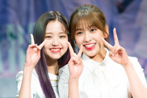 Tương lai của các thành viên sau khi IZ*ONE tan rã