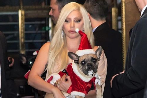 Bắt giữ 5 kẻ tình nghi trong vụ cướp thú cưng của Lady Gaga