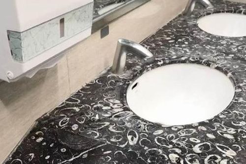 Đang rửa tay thì phát hiện bồn rửa có chứa hóa thạch trăm triệu năm