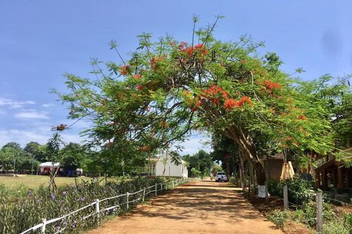 Nông thôn Nghệ An từ những mô hình 'sạch làng đẹp phố'