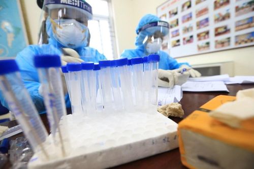 Hưng Yên triển khai nhanh biện pháp khoanh vùng dập dịch ở Phù Cừ