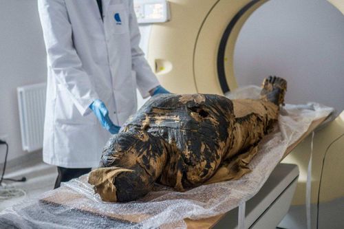 Phát hiện xác ướp Ai Cập mang thai đầu tiên trên thế giới
