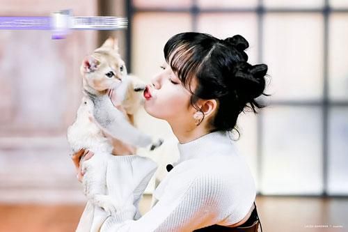 Thanh xuân có bạn 3: Lộ hình cưng xỉu của Lisa (BLACKPINK), còn chu môi hôn mèo khiến netizen phát cuồng