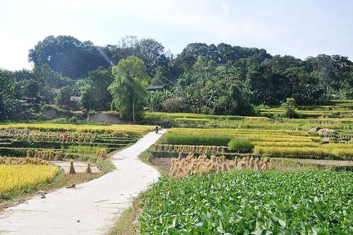 Xây dựng Nông thôn mới ở vùng đặc biệt khó khăn: Đường mới, tư duy sản xuất mới