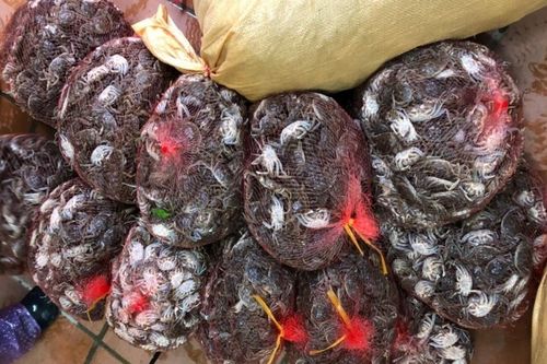 Quảng Ninh: Hơn 100 kg Cà ra nhập lậu từ Trung Quốc bị phát hiện