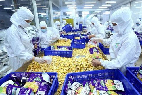 Chế biến là giải pháp để giải bài toán 'giải cứu nông sản'