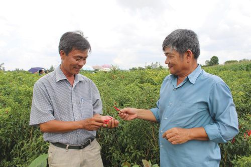 Sáng mãi phẩm chất Bộ đội Cụ Hồ