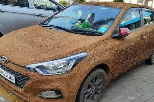 Khó tin ô tô phủ kín phân bò lại được ưa chuộng