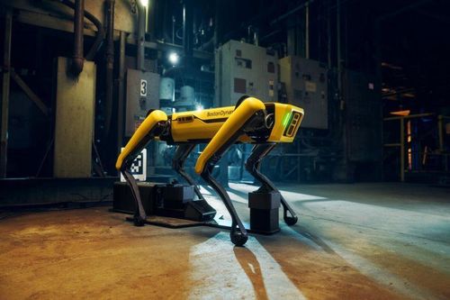 Người New York ghét cay, ghét đắng chó robot tuần tra của cảnh sát