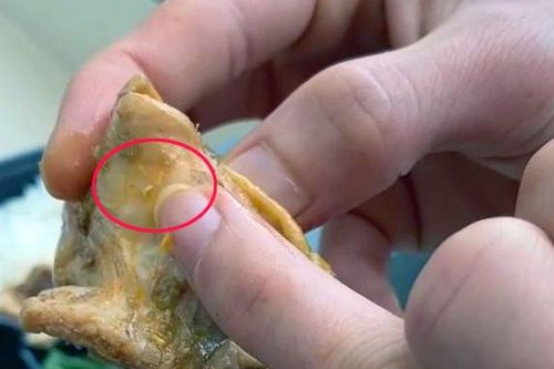 Hàng loạt sai phạm ở khách sạn bị tố có dòi trong thức ăn